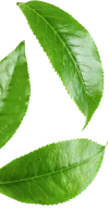 Dekoracja
