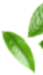 Dekoracja