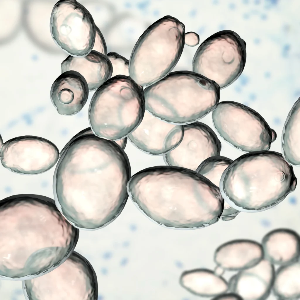 drożdże piwowarskie drożdże piwne humavit