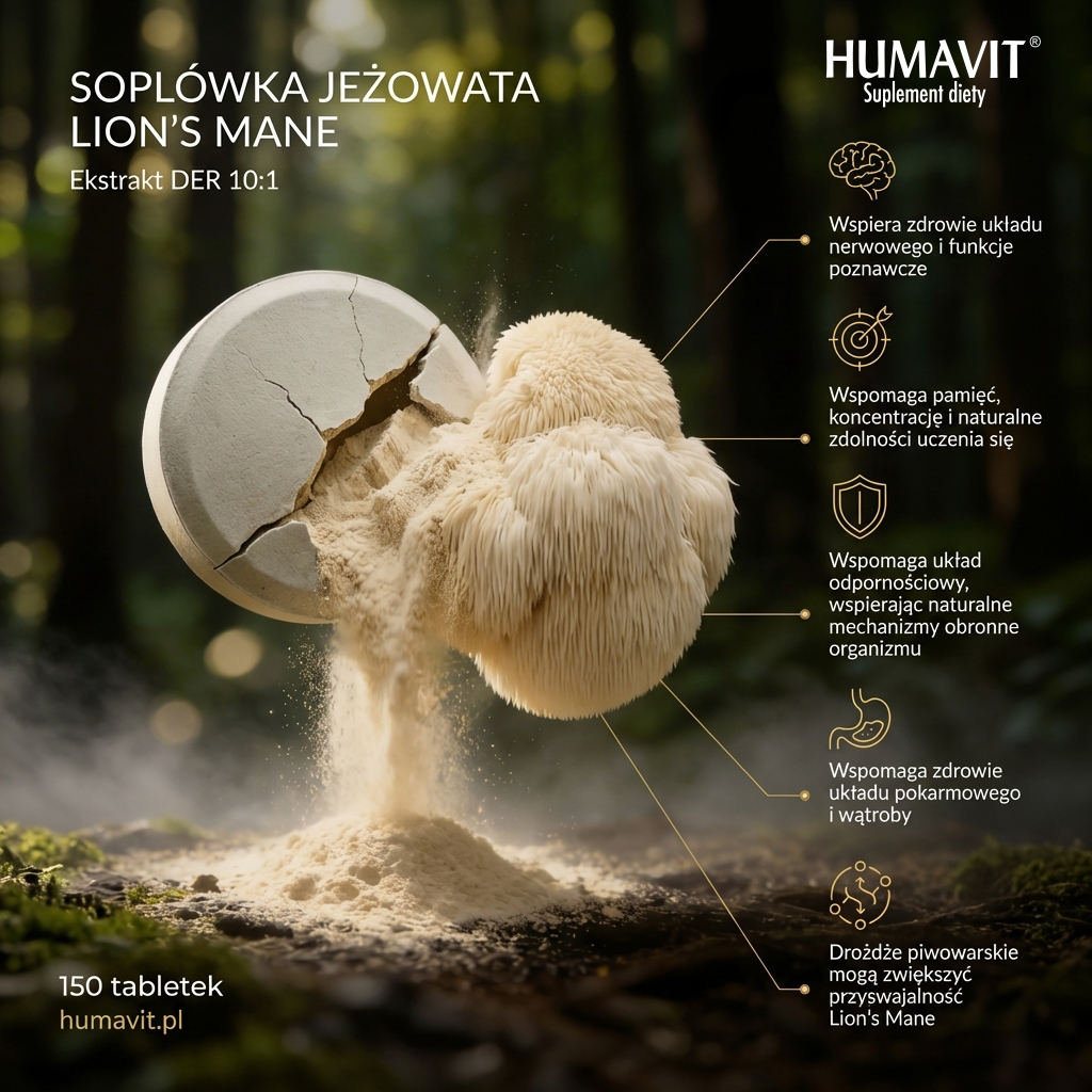 Zestaw grzybów  (3szt za 99zł) LION'S MANE, CORDYCEPS, REISHI hover